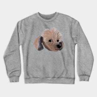 Dog Sketch T-Shirt - The Harry's - Zoey Crewneck Sweatshirt